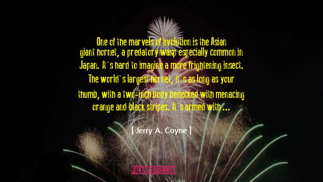 Jerry A. Coyne Quotes: One of the marvels of