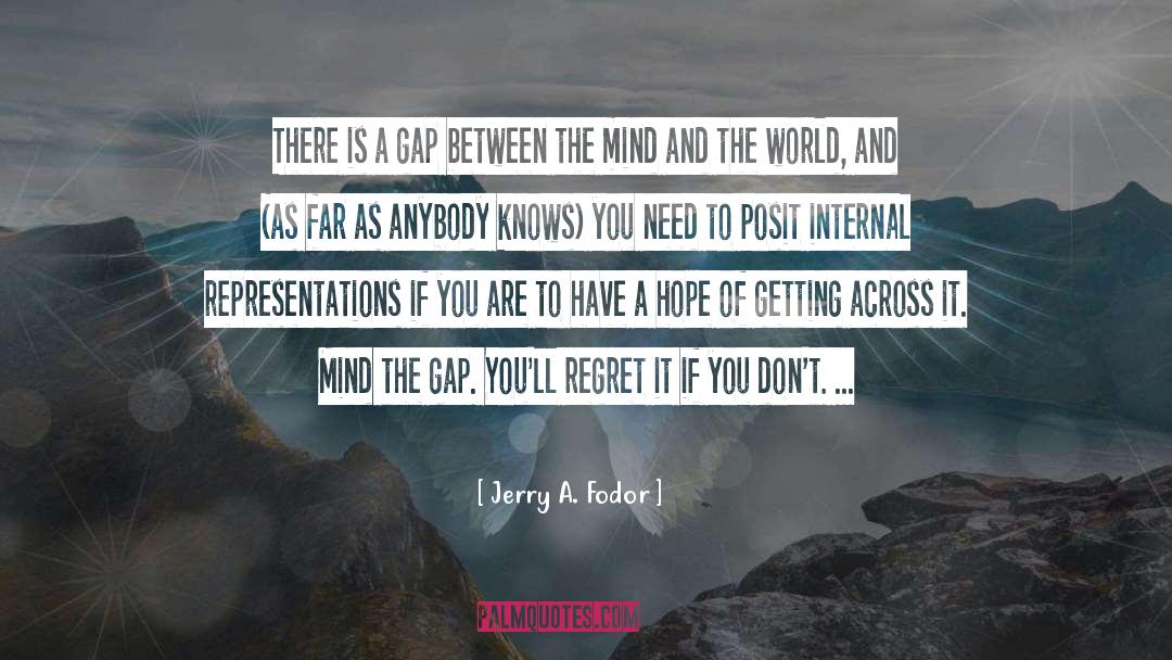 Jerry A. Fodor Quotes: There is a gap between