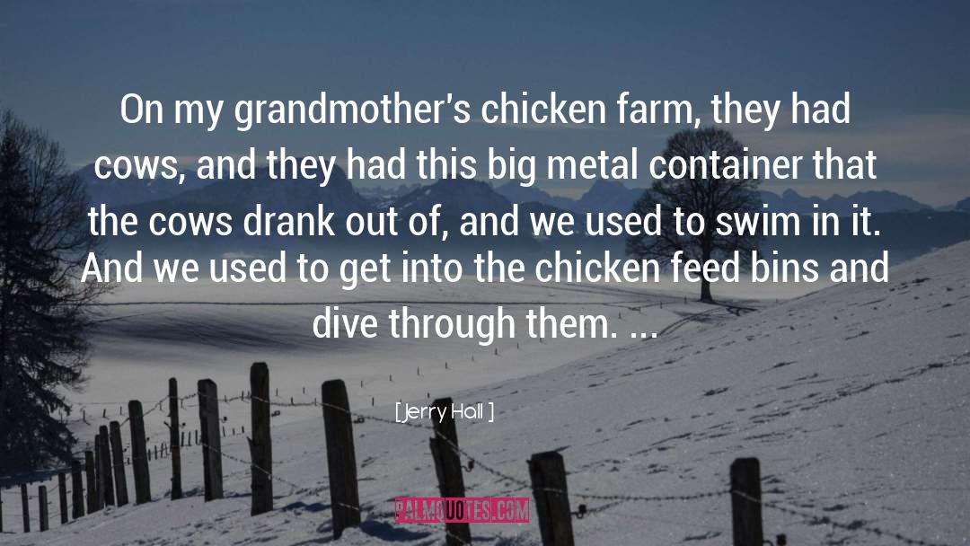 Jerry Hall Quotes: On my grandmother's chicken farm,