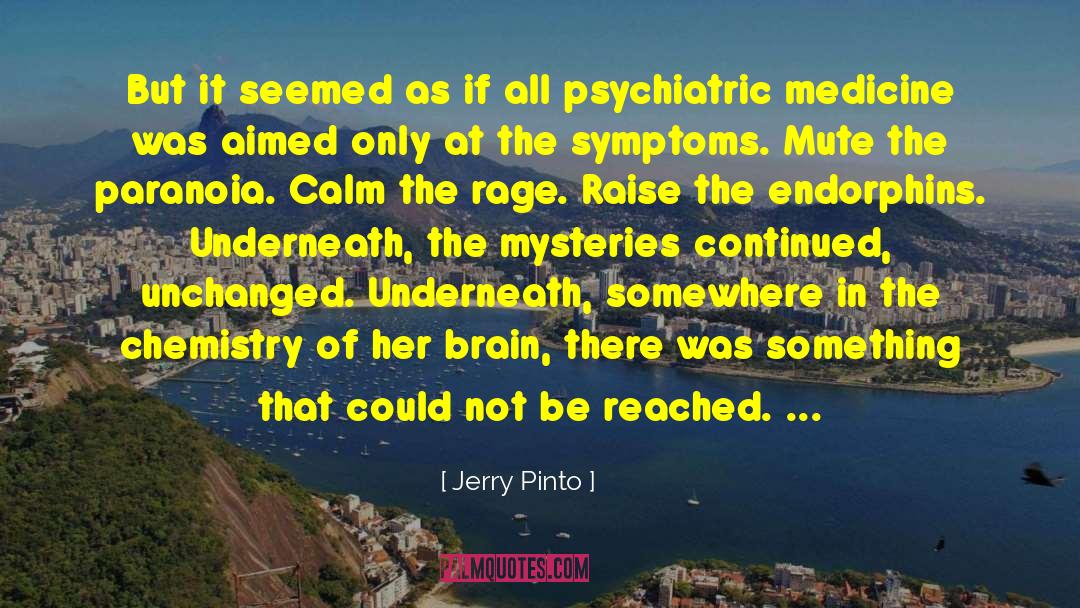 Jerry Pinto Quotes: But it seemed as if