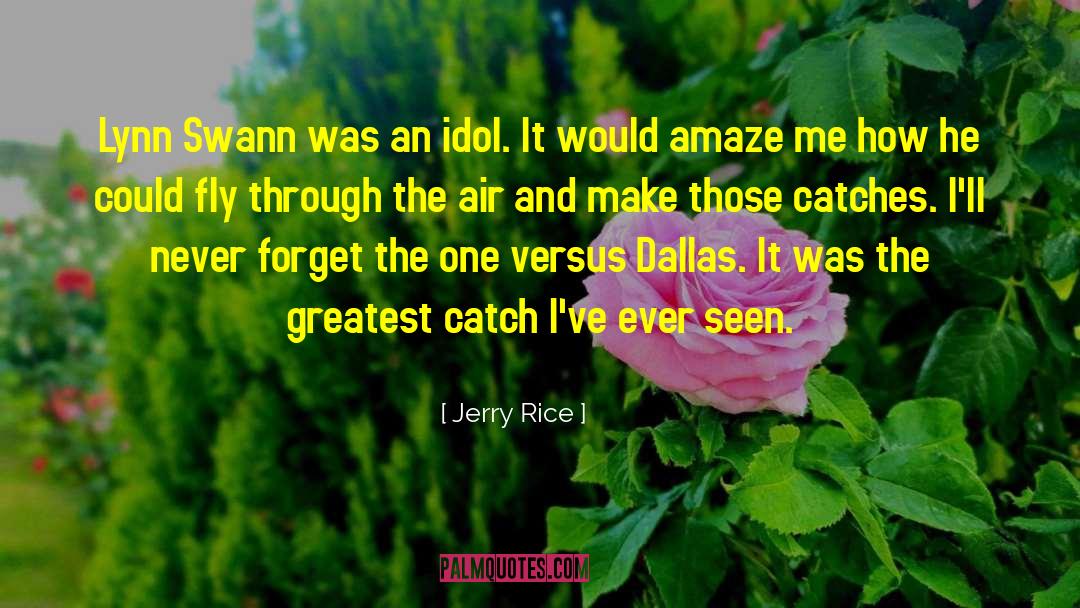Jerry Rice Quotes: Lynn Swann was an idol.