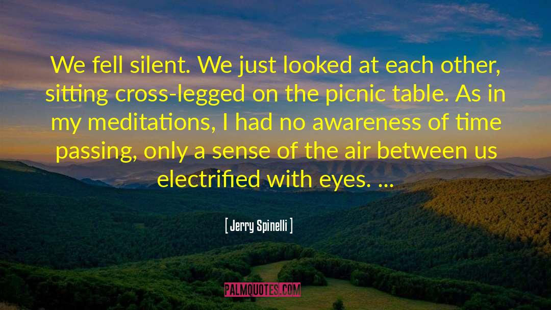 Jerry Spinelli Quotes: We fell silent. We just