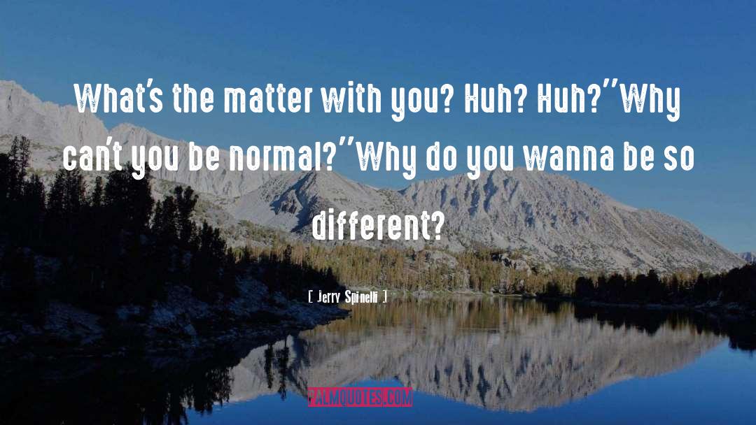 Jerry Spinelli Quotes: What's the matter with you?