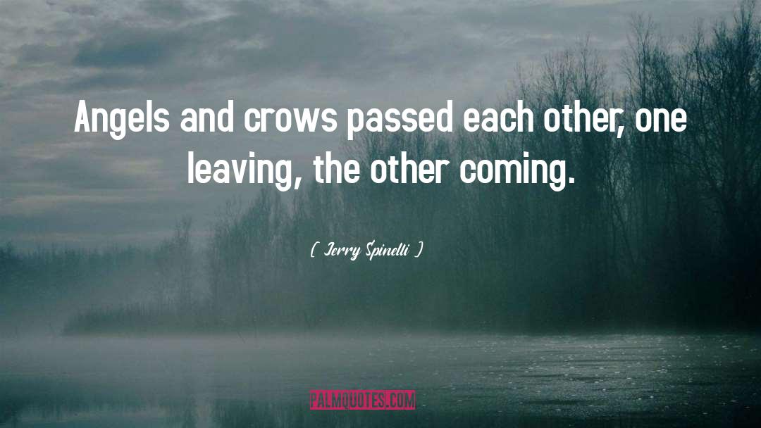 Jerry Spinelli Quotes: Angels and crows passed each