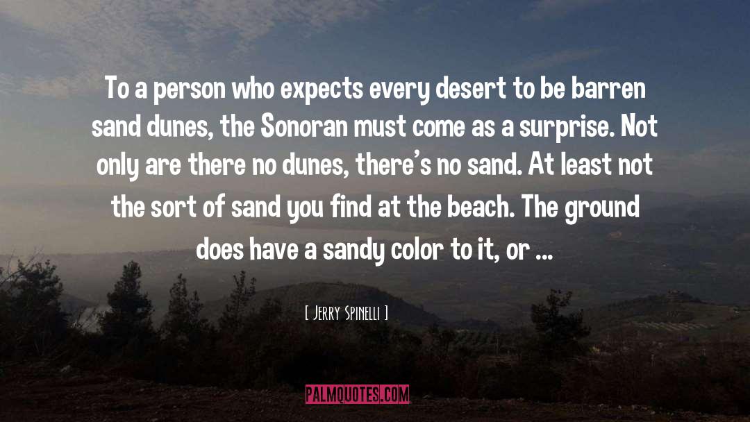 Jerry Spinelli Quotes: To a person who expects