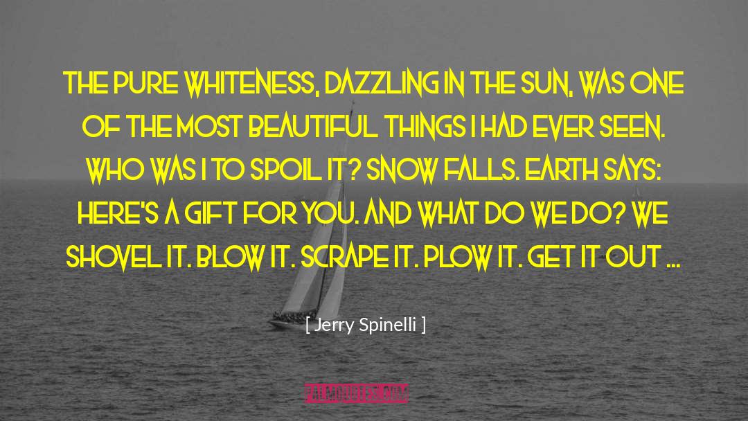 Jerry Spinelli Quotes: The pure whiteness, dazzling in
