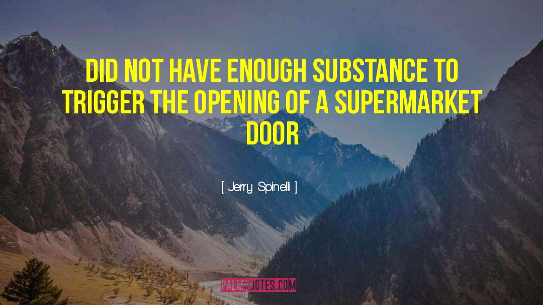Jerry Spinelli Quotes: did not have enough substance