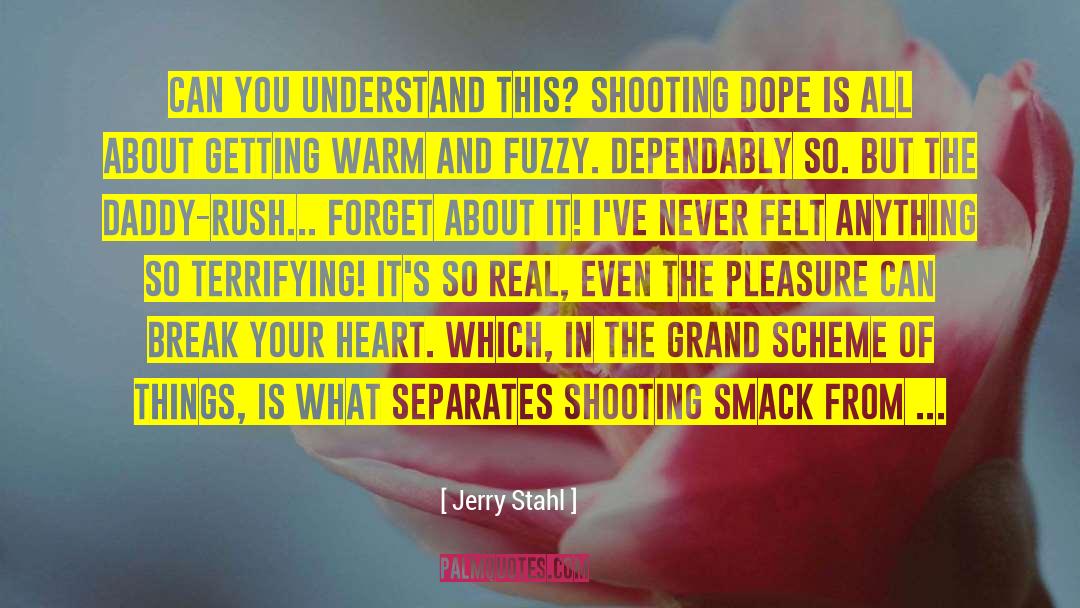 Jerry Stahl Quotes: Can you understand this? Shooting