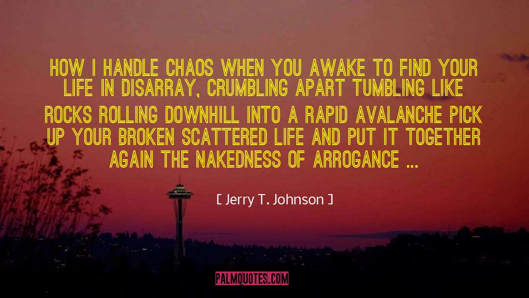 Jerry T. Johnson Quotes: How I Handle Chaos when