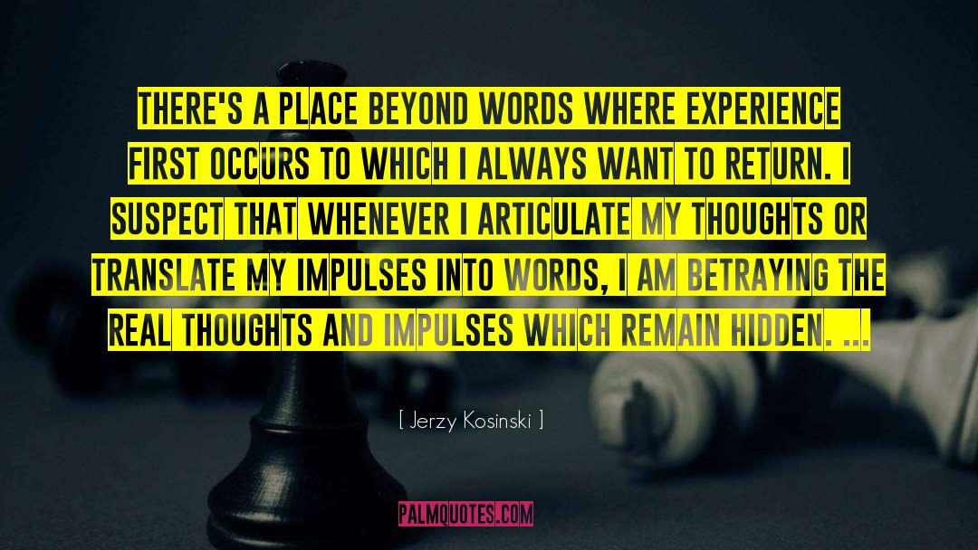 Jerzy Kosinski Quotes: There's a place beyond words