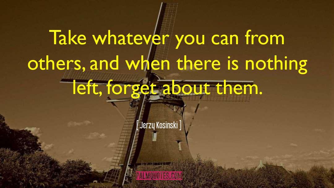 Jerzy Kosinski Quotes: Take whatever you can from