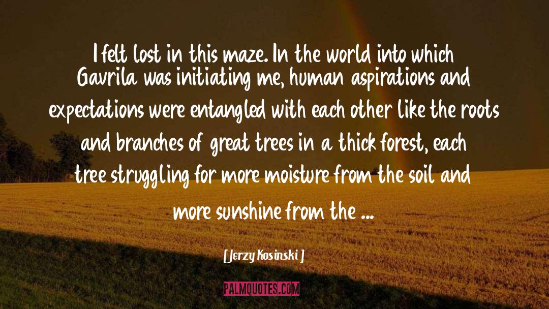 Jerzy Kosinski Quotes: I felt lost in this