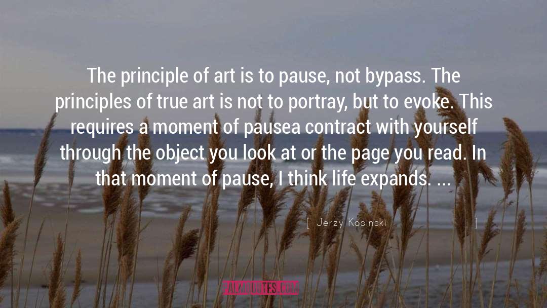 Jerzy Kosinski Quotes: The principle of art is