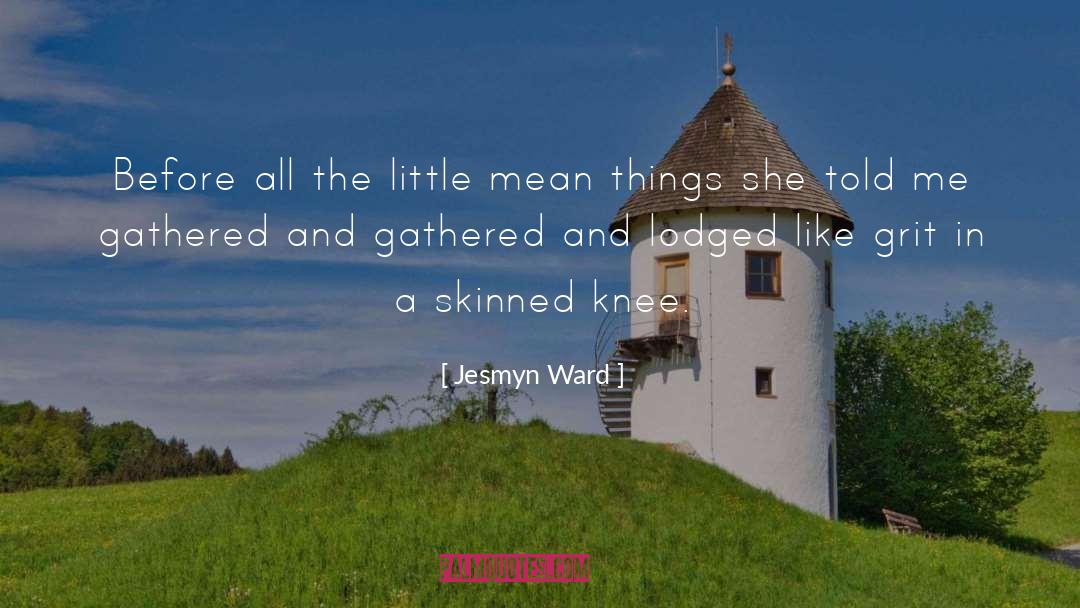 Jesmyn Ward Quotes: Before all the little mean