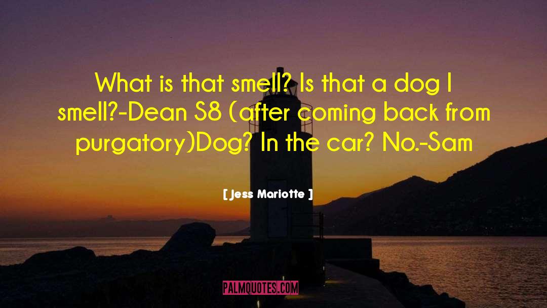 Jess Mariotte Quotes: What is that smell? Is