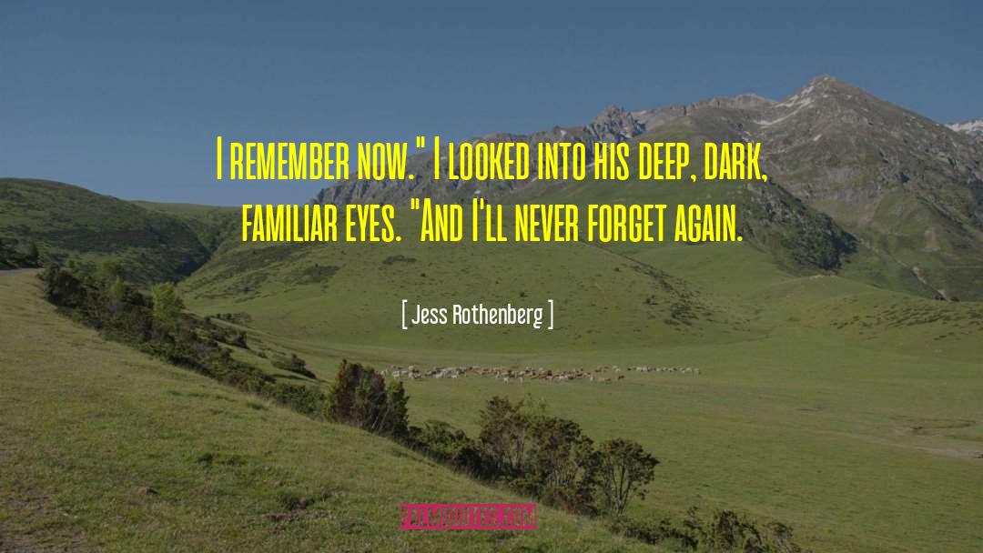 Jess Rothenberg Quotes: I remember now.
