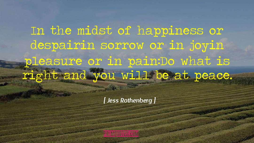 Jess Rothenberg Quotes: In the midst of happiness