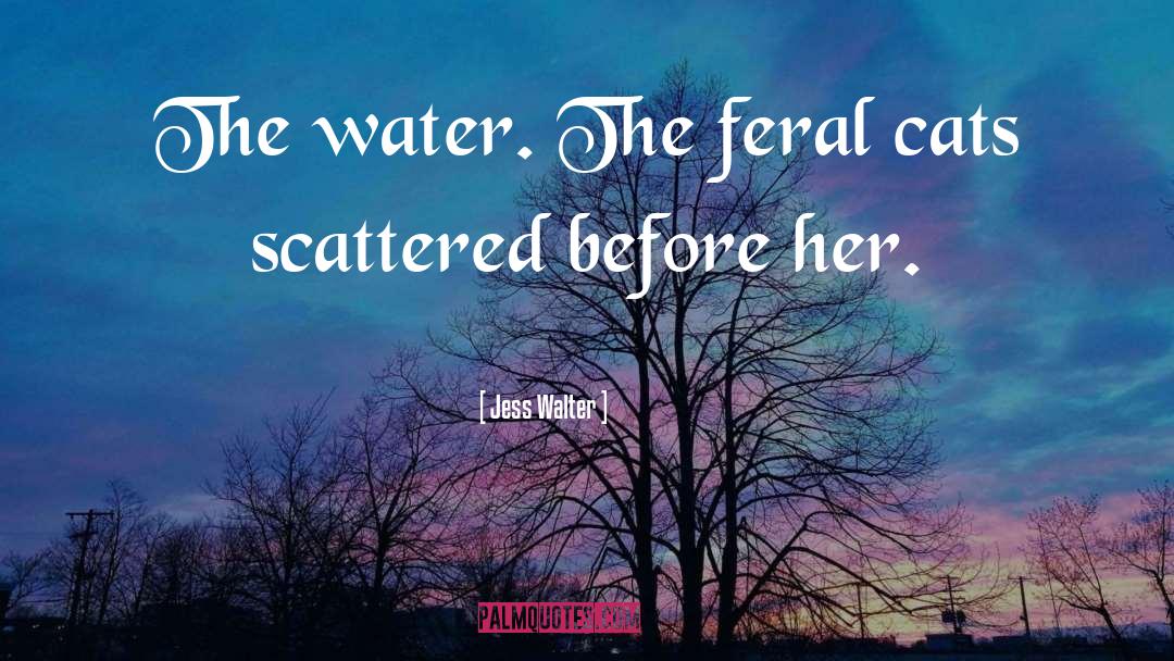 Jess Walter Quotes: The water. The feral cats