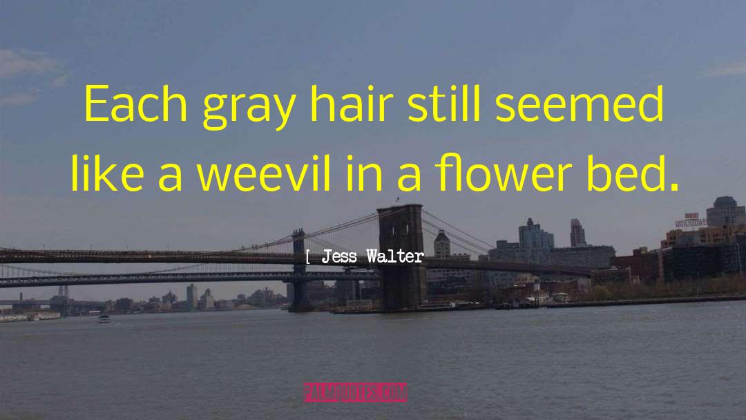 Jess Walter Quotes: Each gray hair still seemed