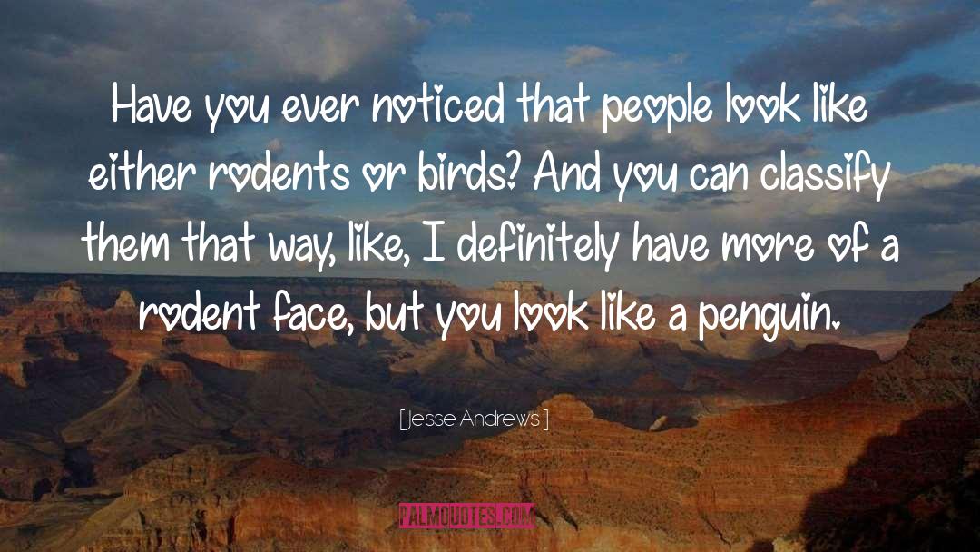 Jesse Andrews Quotes: Have you ever noticed that