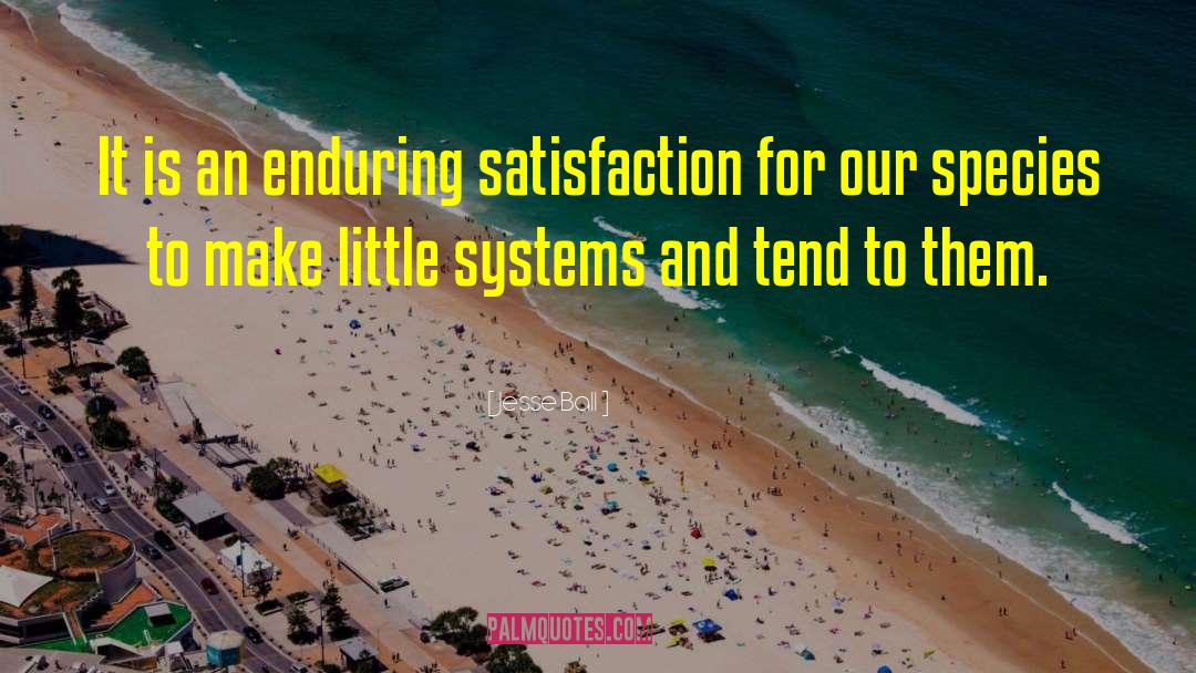 Jesse Ball Quotes: It is an enduring satisfaction