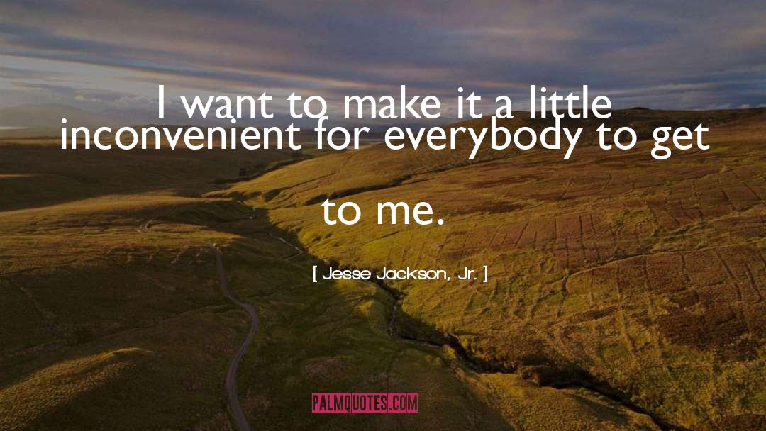 Jesse Jackson, Jr. Quotes: I want to make it