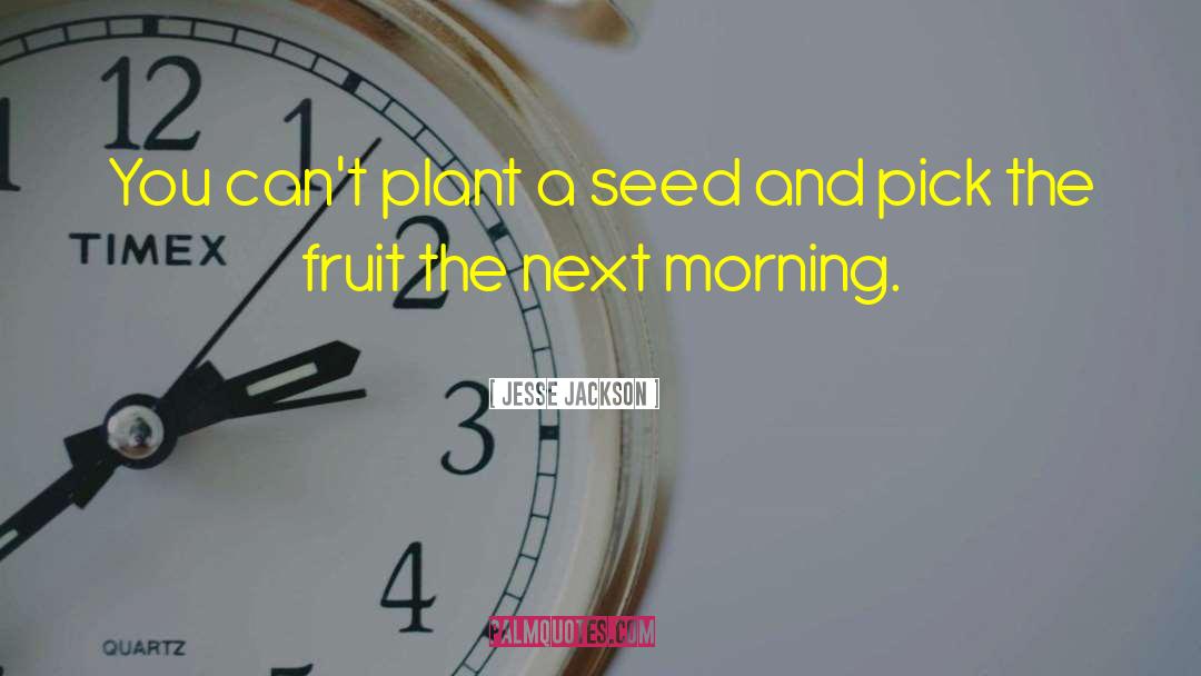 Jesse Jackson Quotes: You can't plant a seed