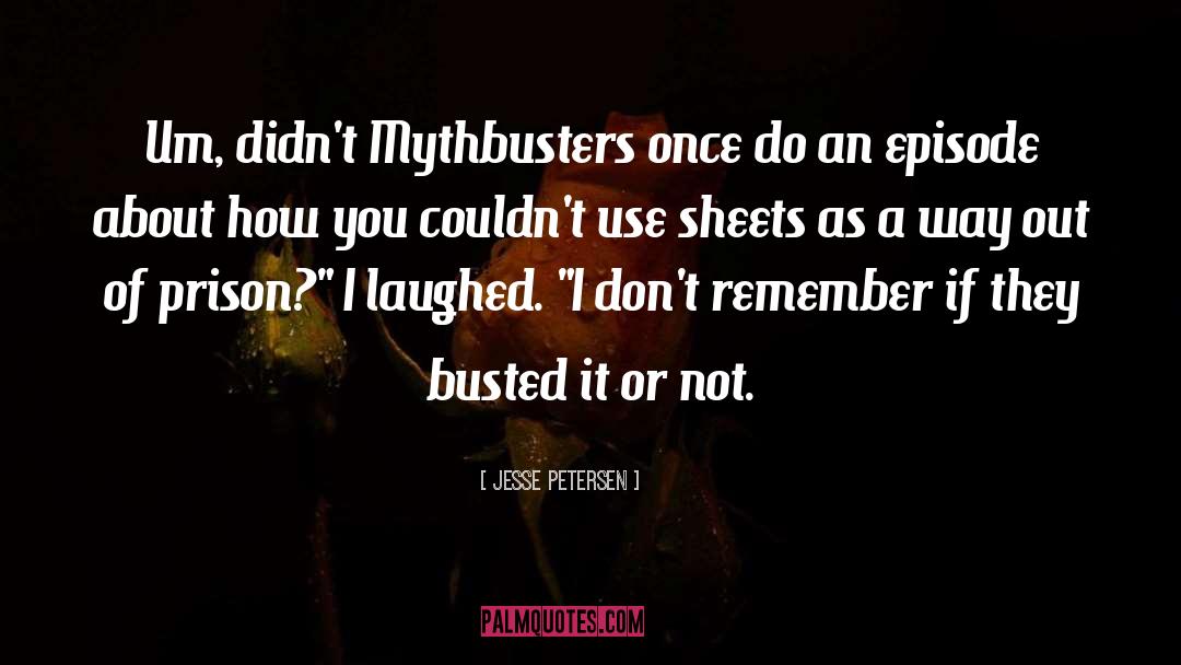 Jesse Petersen Quotes: Um, didn't Mythbusters once do