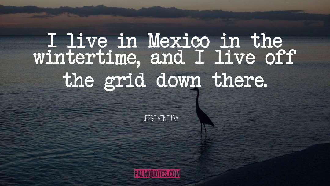 Jesse Ventura Quotes: I live in Mexico in