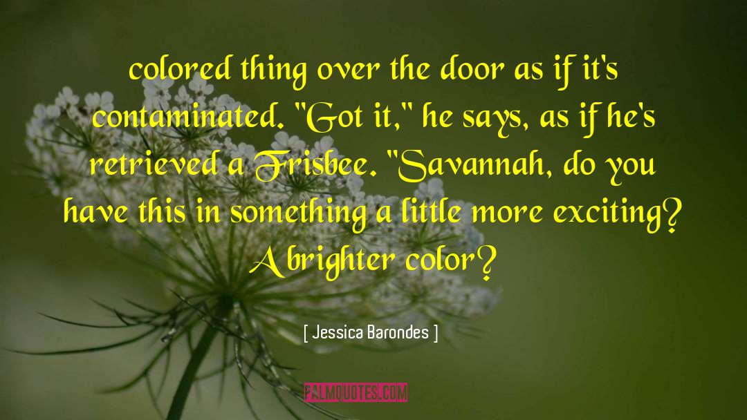 Jessica Barondes Quotes: colored thing over the door