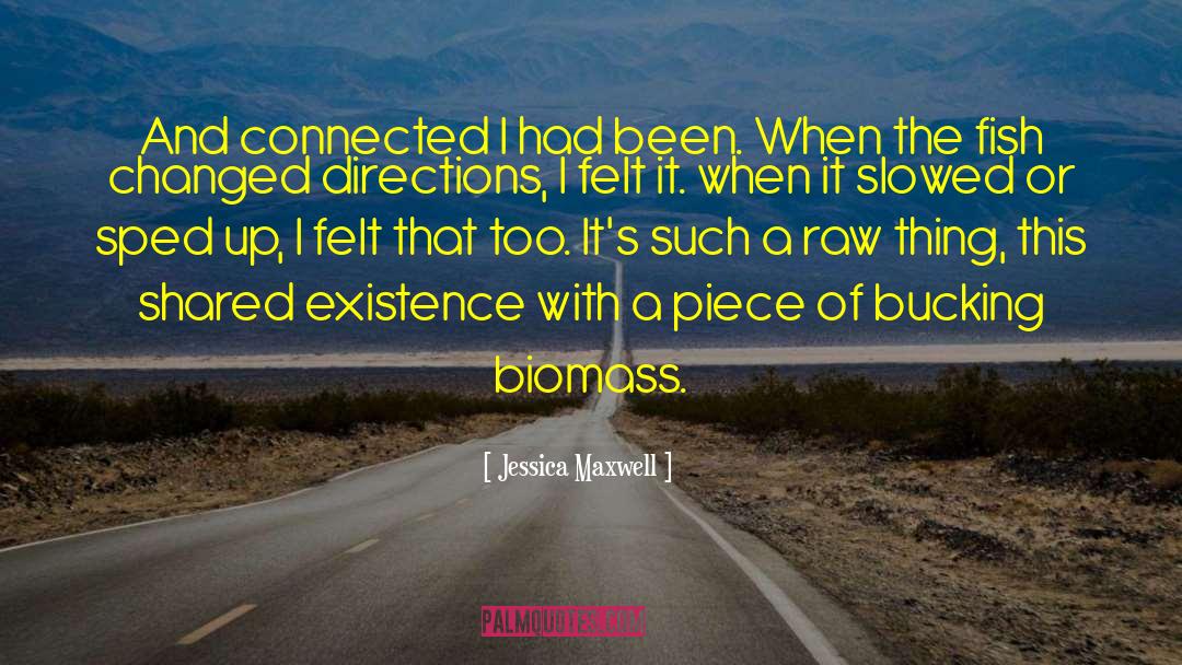 Jessica Maxwell Quotes: And connected I had been.