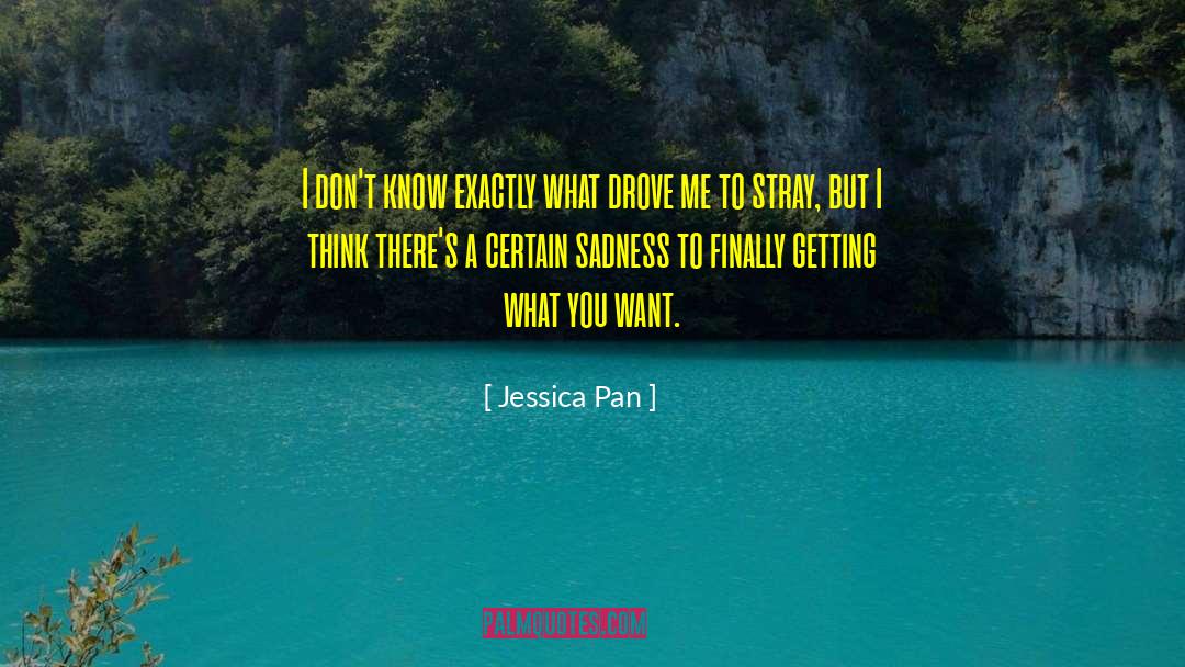 Jessica Pan Quotes: I don't know exactly what