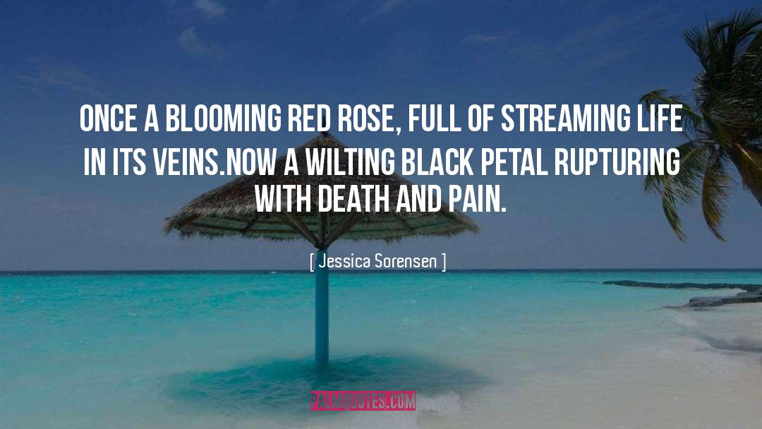 Jessica Sorensen Quotes: Once a blooming red rose,