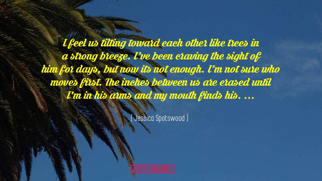Jessica Spotswood Quotes: I feel us tilting toward