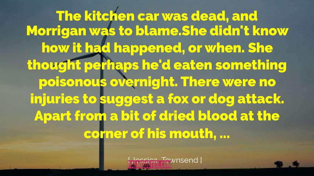 Jessica  Townsend Quotes: The kitchen car was dead,