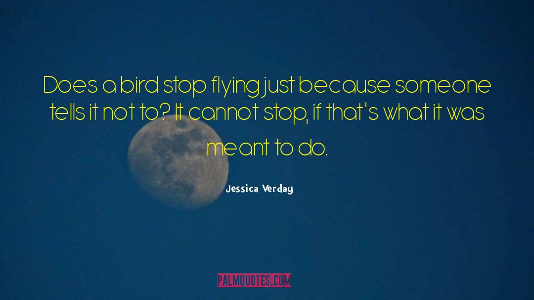 Jessica Verday Quotes: Does a bird stop flying