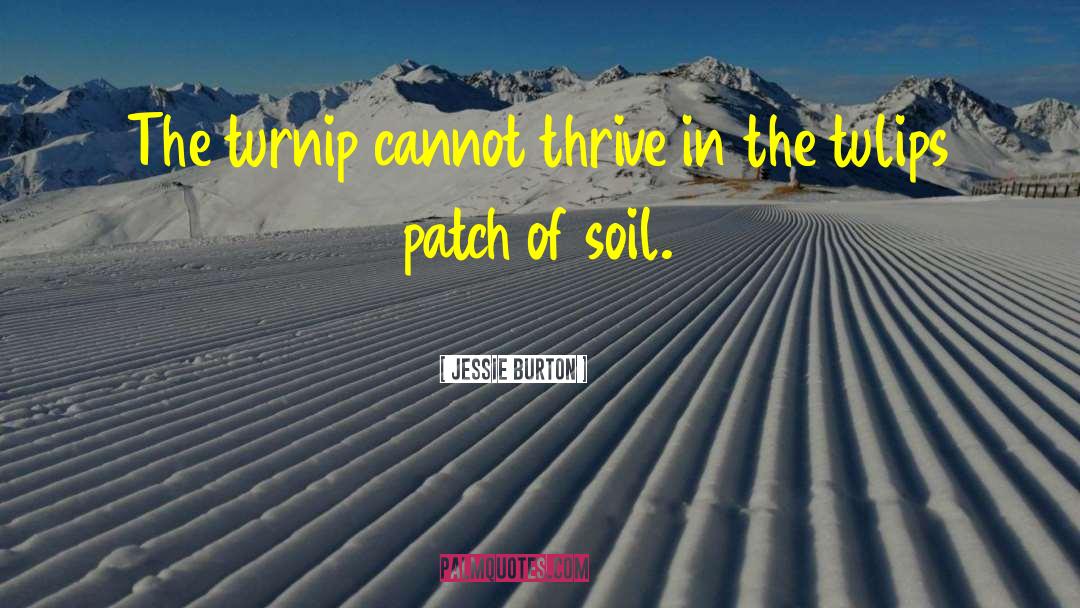 Jessie Burton Quotes: The turnip cannot thrive in