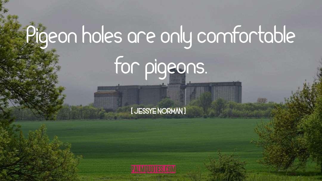 Jessye Norman Quotes: Pigeon-holes are only comfortable for