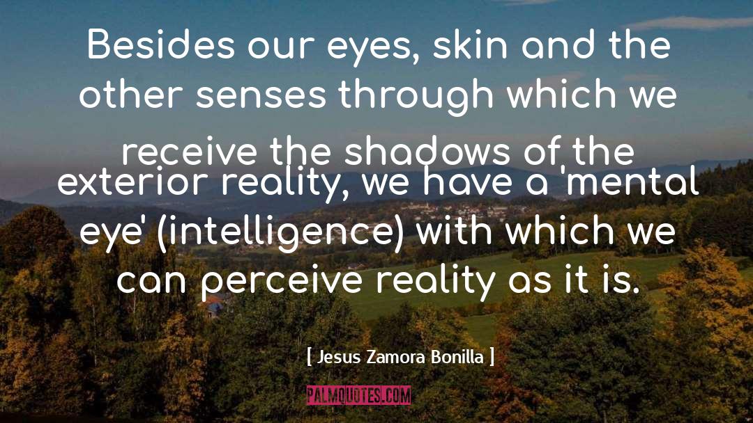 Jesus Zamora Bonilla Quotes: Besides our eyes, skin and