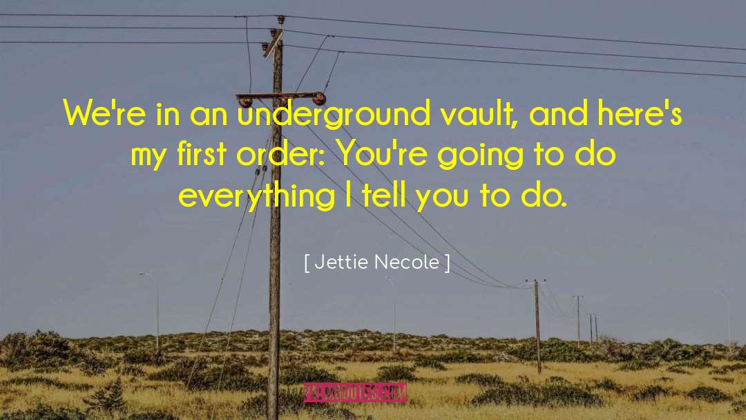 Jettie Necole Quotes: We're in an underground vault,