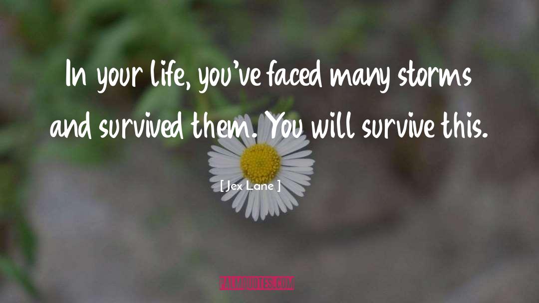 Jex Lane Quotes: In your life, you've faced