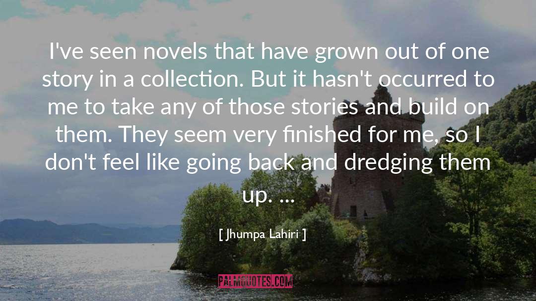 Jhumpa Lahiri Quotes: I've seen novels that have