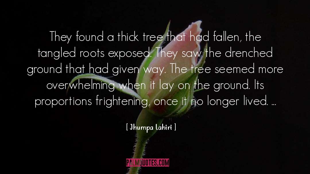 Jhumpa Lahiri Quotes: They found a thick tree
