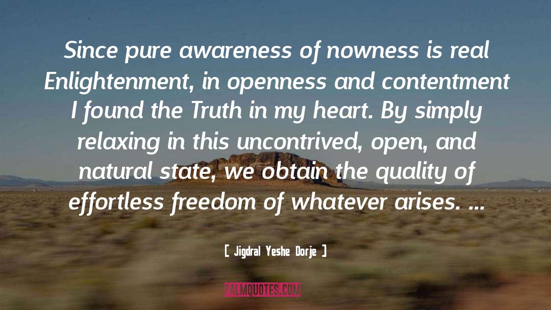 Jigdral Yeshe Dorje Quotes: Since pure awareness of nowness