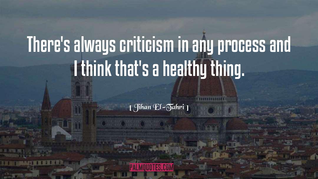 Jihan El-Tahri Quotes: There's always criticism in any