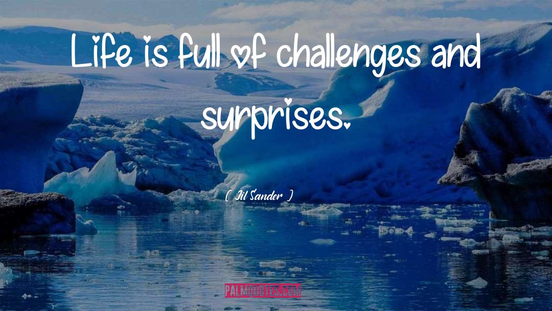 Jil Sander Quotes: Life is full of challenges