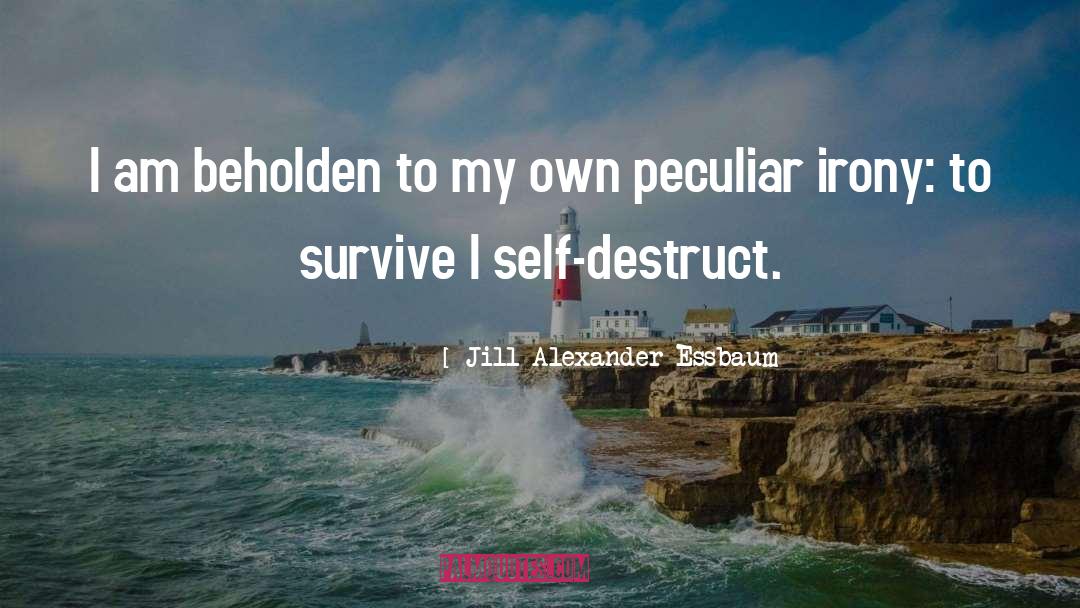 Jill Alexander Essbaum Quotes: I am beholden to my