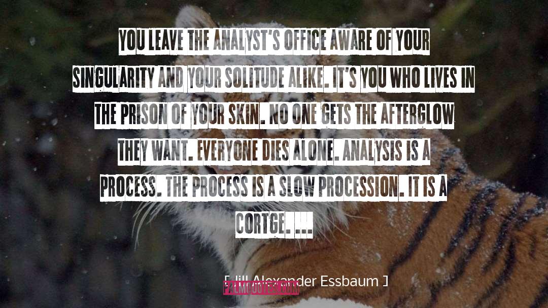 Jill Alexander Essbaum Quotes: You leave the analyst's office