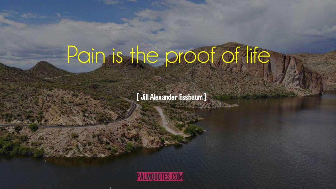 Jill Alexander Essbaum Quotes: Pain is the proof of