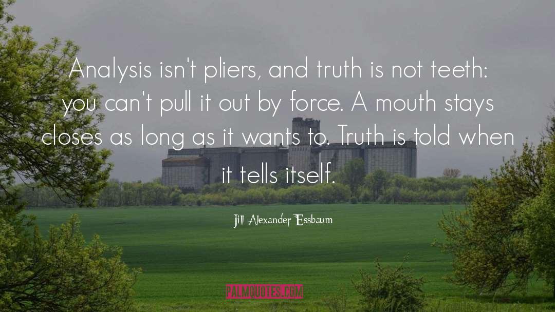 Jill Alexander Essbaum Quotes: Analysis isn't pliers, and truth